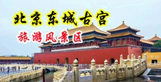 爆操女中国北京-东城古宫旅游风景区